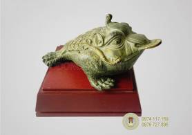 Thiềm thừ - Cóc ngậm tiền bằng đồng